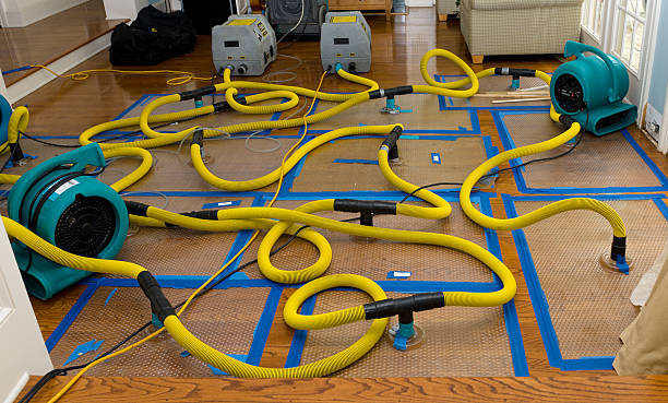 Professional Flood Damage Restoration technician working in Clifton, AZ